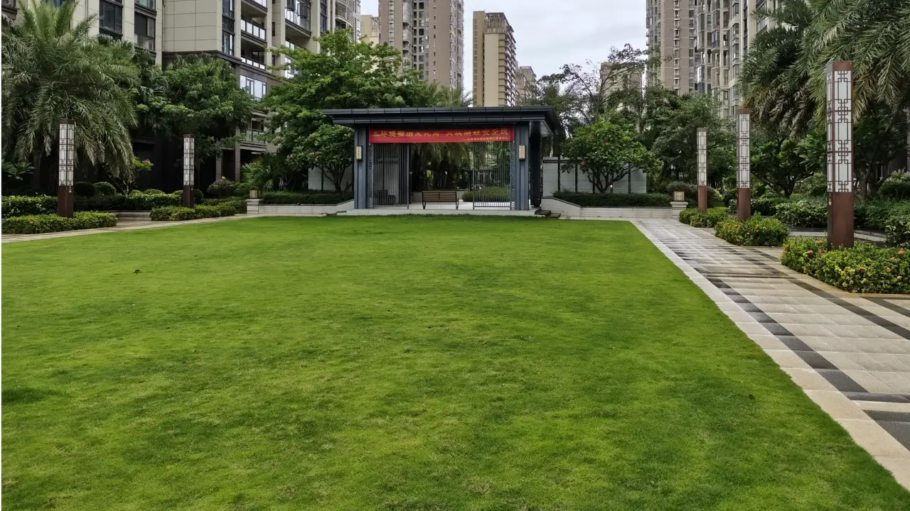 عکس های نور روز گوشی شیائومی Redmi Note 15 Pro Plus