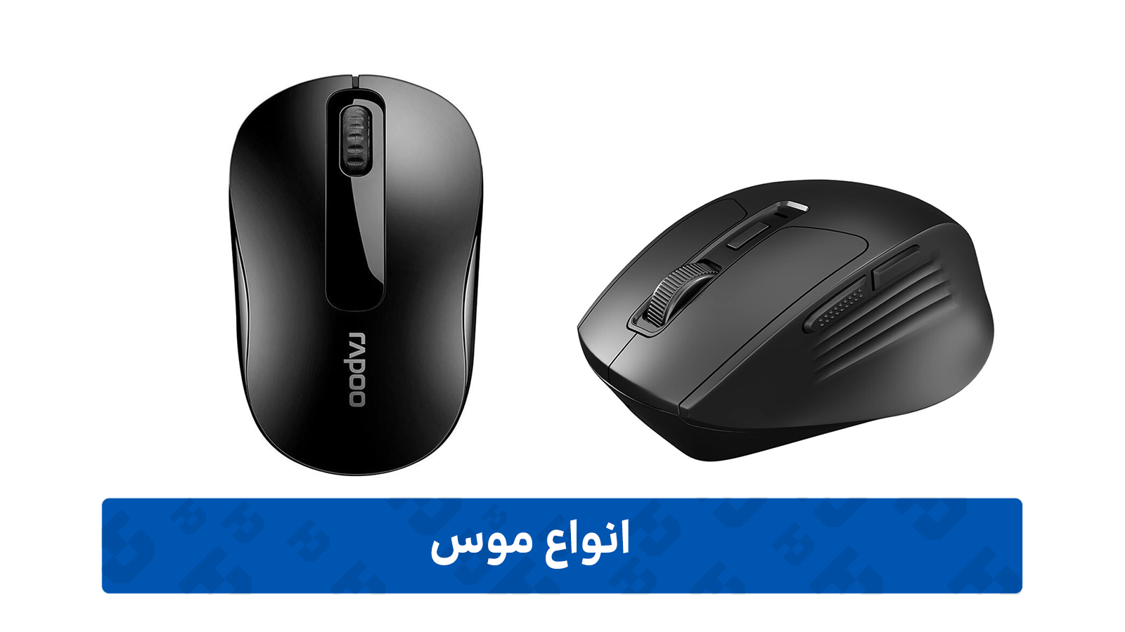 موس