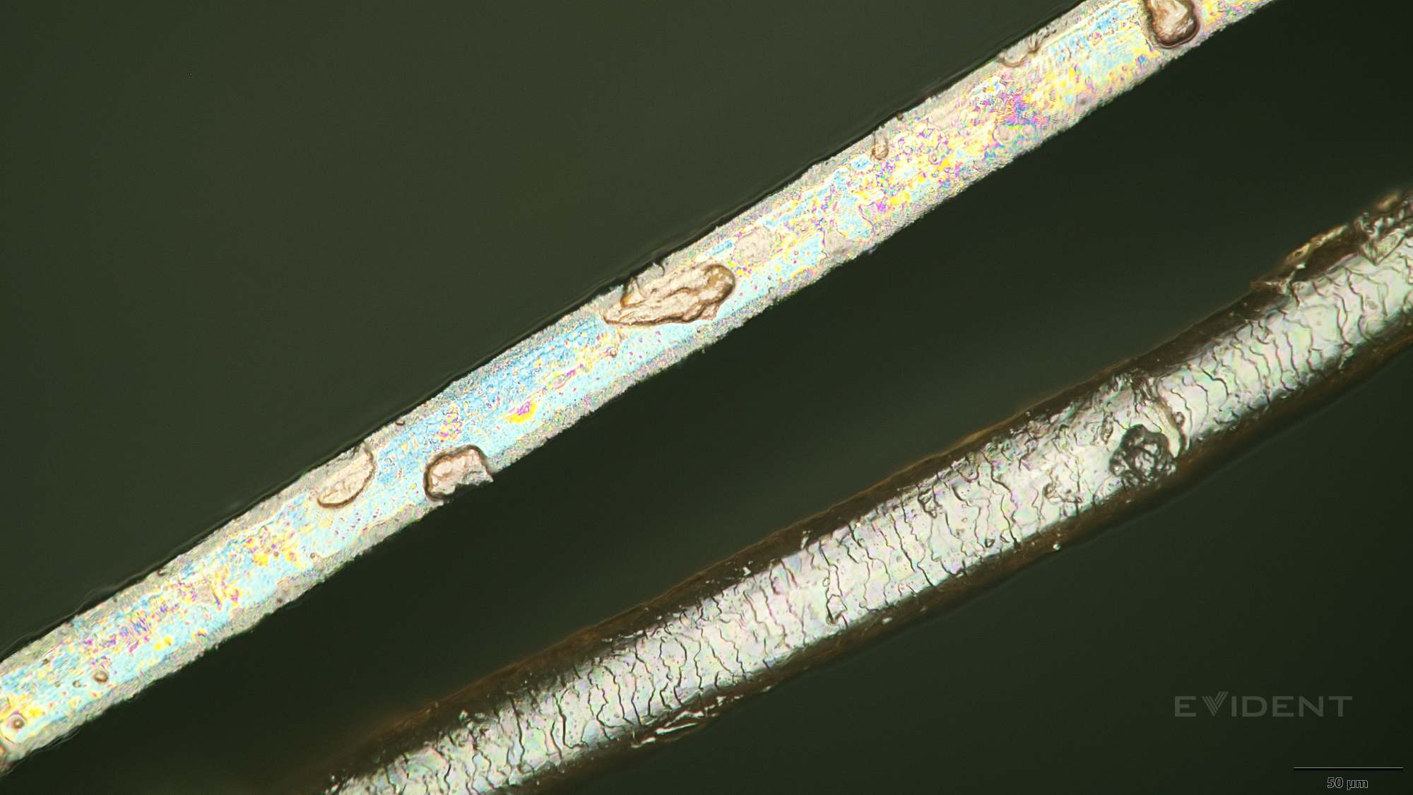 camera aperture blade next to human hair (left) and next to 2mm screw (right)