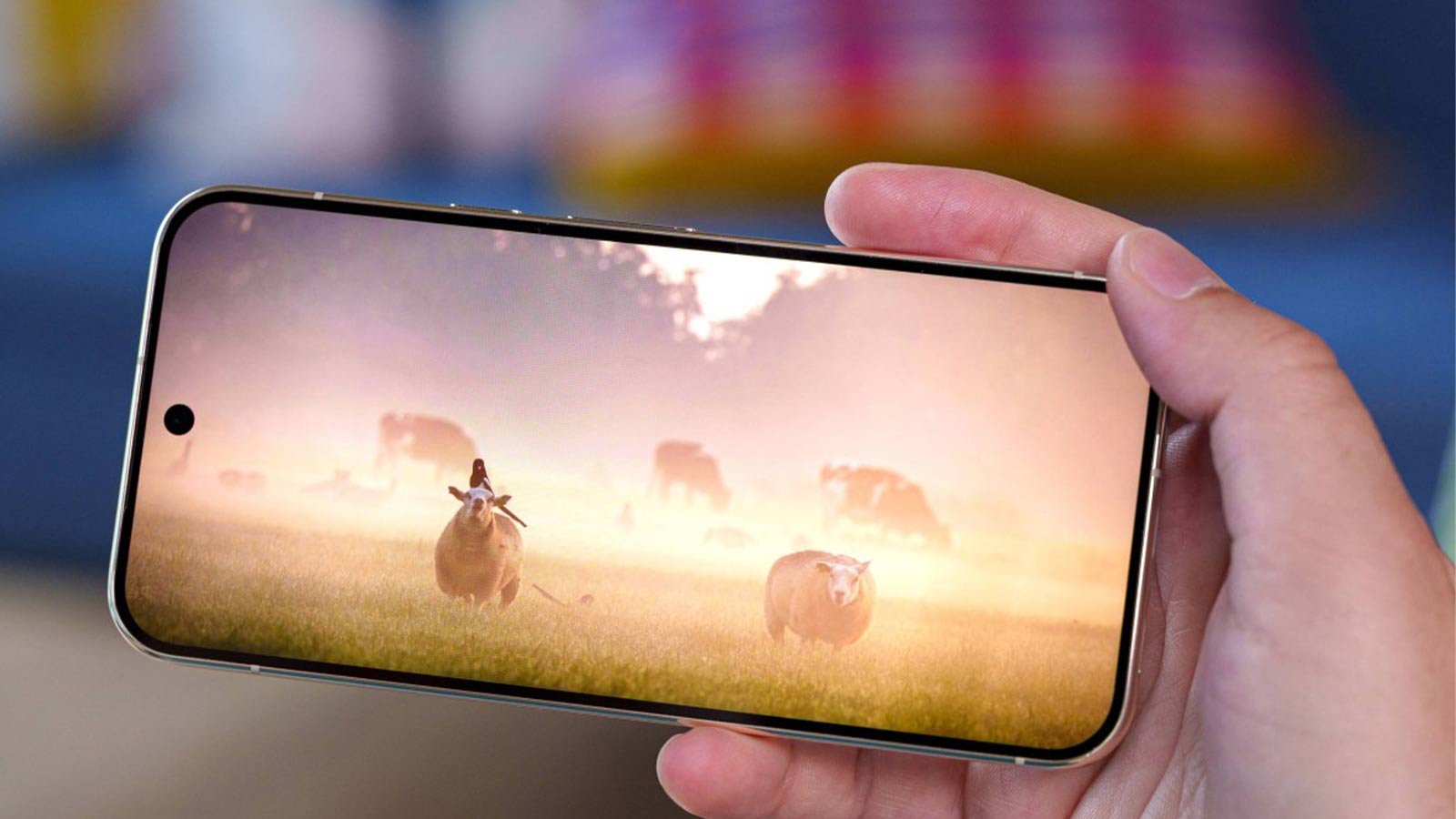 پیکسل 11 پرو XL گوگل